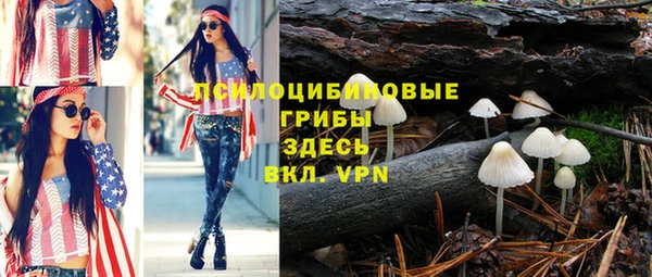 таблы Инсар