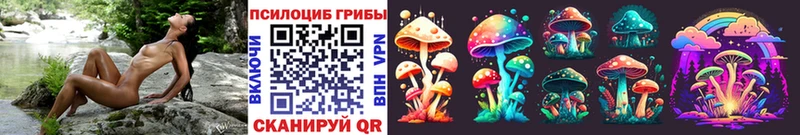 Купить закладки  Елизово  Псилоцибиновые грибы Cubensis 